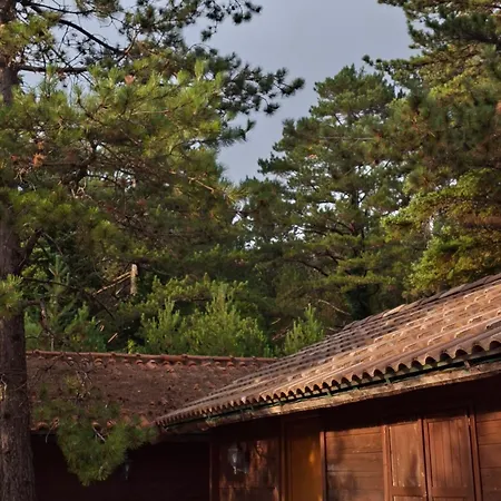 Lodge Llogara Wood